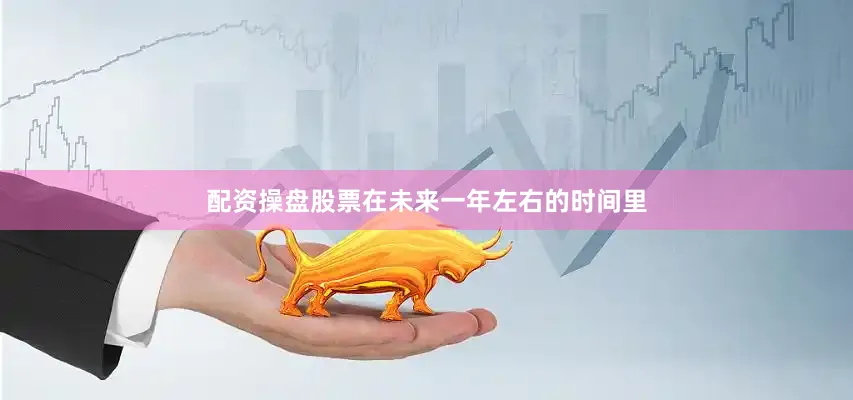 配资操盘股票在未来一年左右的时间里